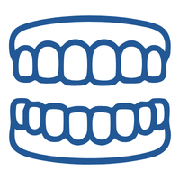 Stylized blue line drawing of a full set of upper and lower teeth (dental diagram)